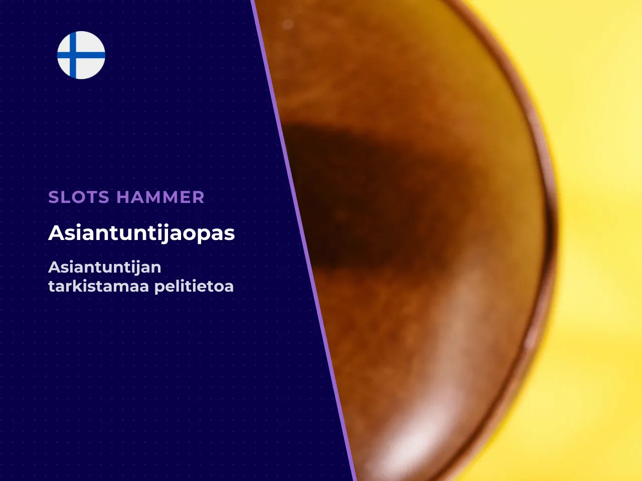 Kirjoittajasta ja toimituksen linjasta. Tämän oppaan