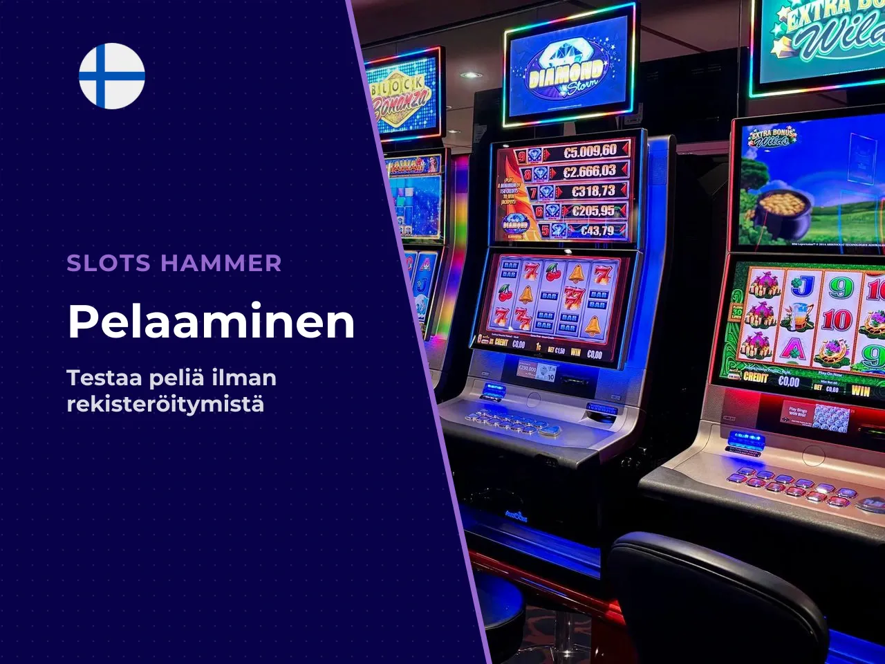 Demon pikakäyttöohje 5 kohdan tarkistuslista. 1