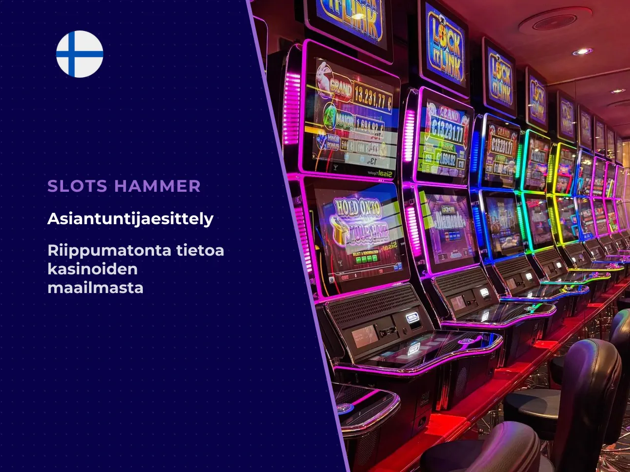 Artikkelin asiantuntija ja kirjoittaja. Elina Rautio